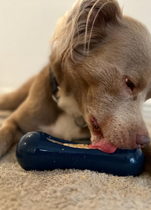 Freezstick - Indestructible Enrichment Chew