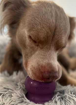 Freezball - Durable Fillable Dog Chew Bone - Pup List