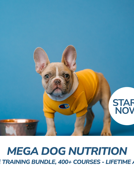 Mega Dog Nutrition Online Training Bundle, 400+ Courses - Lifetime Access