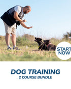 Dog Training Online Bundle, 2 Certificate Courses