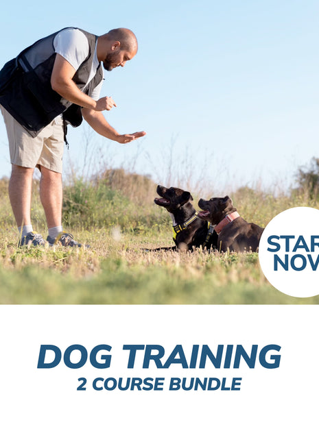 Dog Training Online Bundle, 2 Certificate Courses