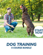 Dog Training Online Bundle, 5 Certificate Courses