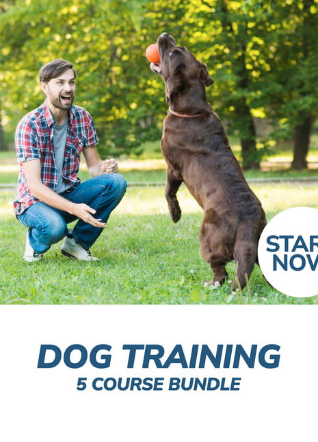 Dog Training Online Bundle, 5 Certificate Courses