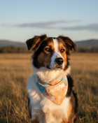 Custom Tie Dye Dog Bandana