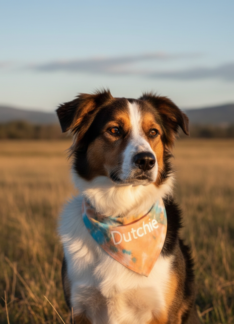 Custom Tie Dye Dog Bandana