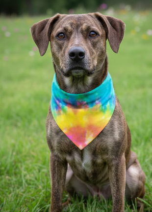 Custom Tie Dye Dog Bandana
