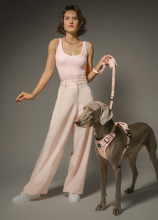 3-in-1 City Dog Leash - Sweetheart