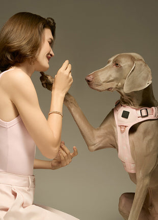 The NoMad Adjustable Luxe Harness - Sweetheart