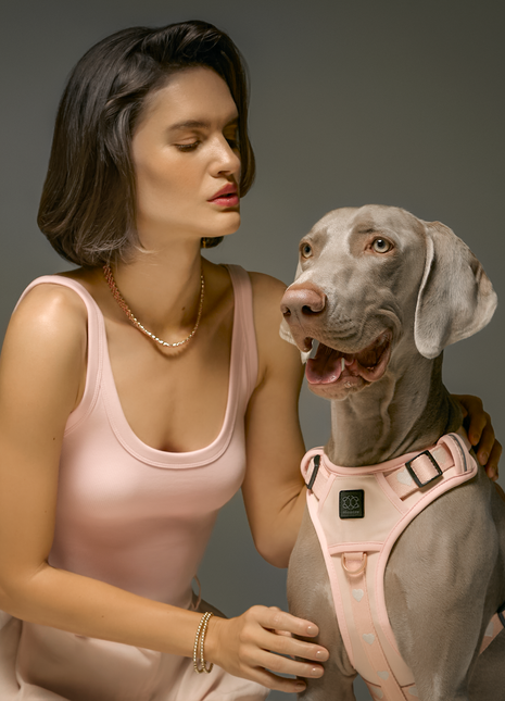 The NoMad Adjustable Luxe Harness - Sweetheart