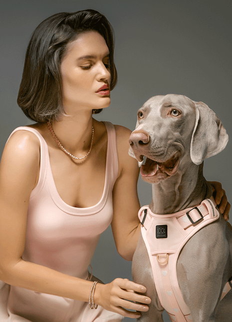 The NoMad Adjustable Luxe Harness - Sweetheart