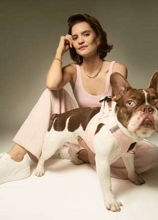 SoHo Dog Harness - Sweetheart