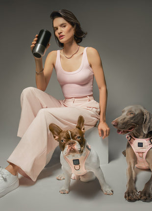 SoHo Dog Harness - Sweetheart