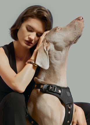 The NoMad Adjustable Luxe Harness - Rockstar