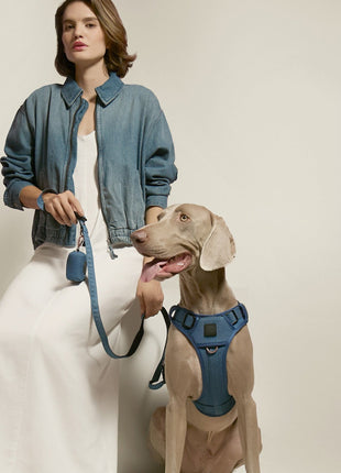 3-in-1 City Dog Leash - Denim