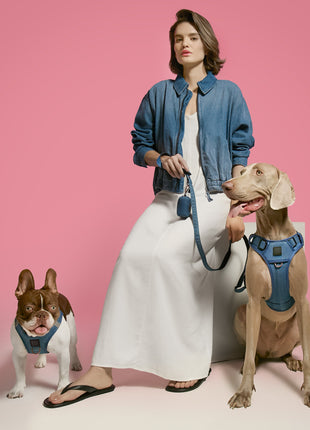 SoHo Dog Harness - Denim