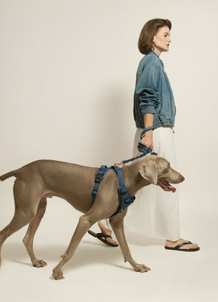 3-in-1 City Dog Leash - Denim