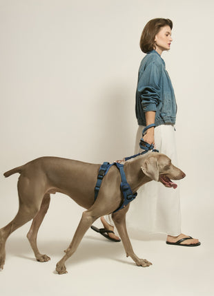 The NoMad Adjustable Luxe Harness - Denim - Pup List