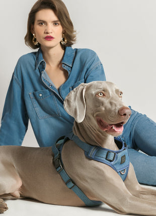 The NoMad Adjustable Luxe Harness - Denim - Pup List