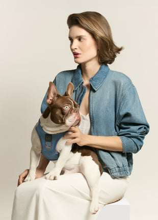SoHo Dog Harness - Denim