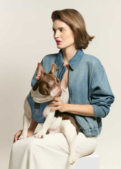 SoHo Dog Harness - Denim