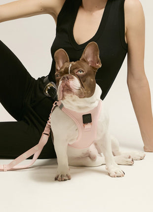 3-in-1 City Dog Leash - Blush
