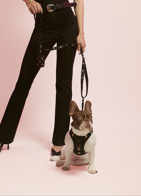 Poop Bag Holder - Rockstar