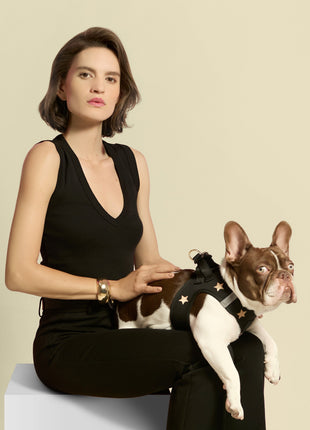 SoHo Dog Harness - Rockstar