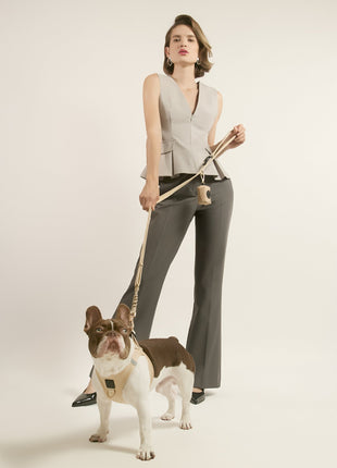 SoHo Dog Harness - Dune