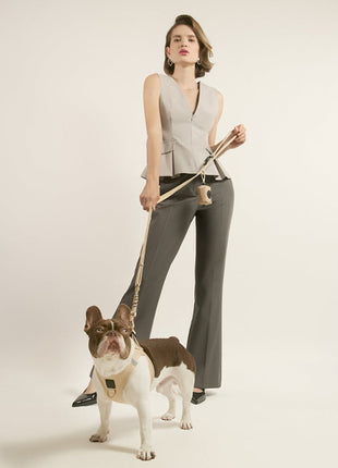SoHo Dog Harness - Dune - Pup List