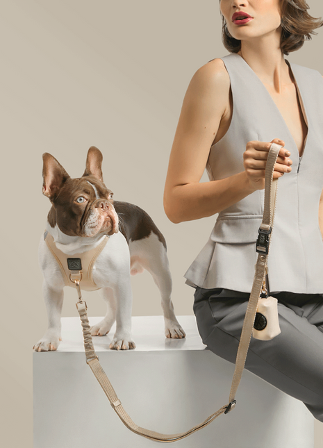 SoHo Dog Harness - Dune