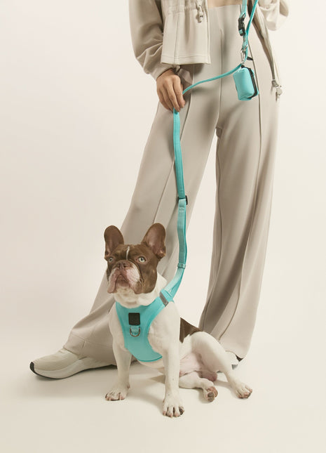 Poop Bag Holder - Fifth Avenue