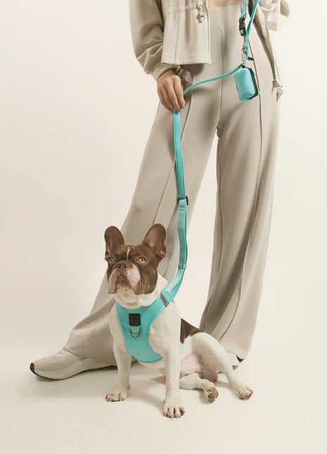 3-in-1 City Dog Leash - Fifth Avenue