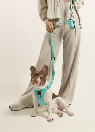 Poop Bag Holder - Fifth Avenue - Pup List