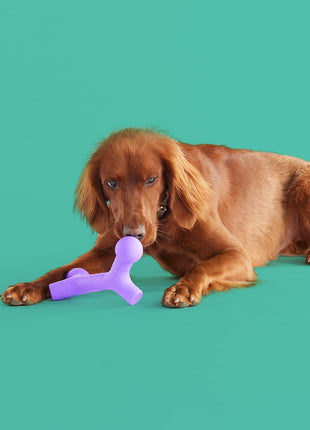 BallBone