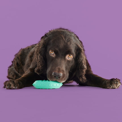 ChillChew - Pup List