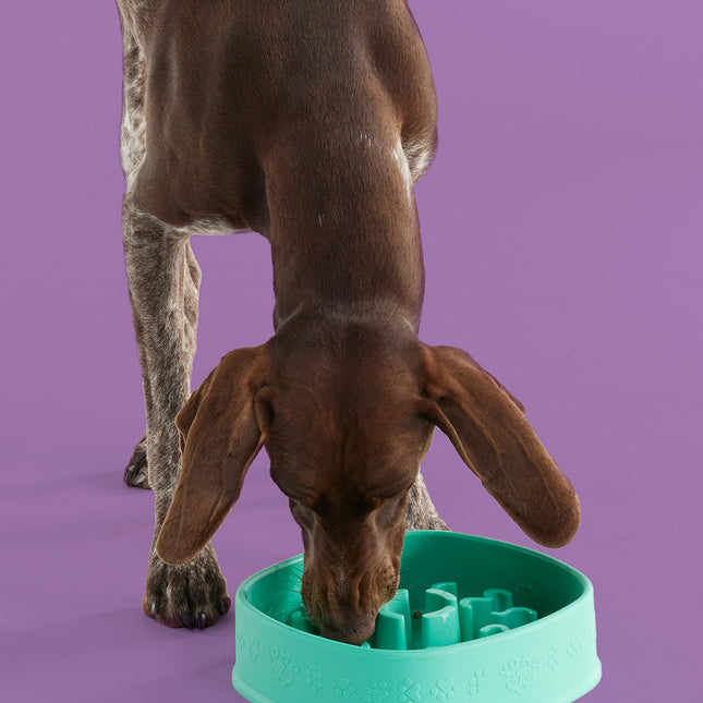 BetterFeeder