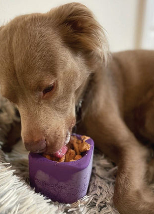 Freezbox - Super Tough Treat Toy