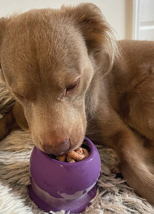 Freezball - Durable Fillable Dog Chew Bone