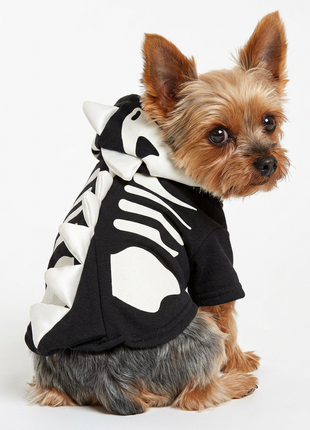 Dragon Skull Sweatshirt