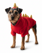 Dragon Sweatshirt