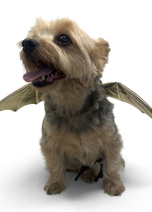 Dragon Wing