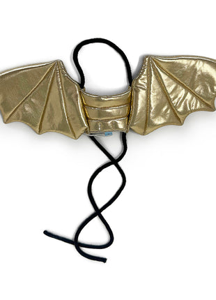 Dragon Wing