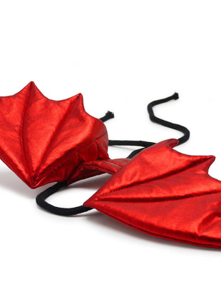 Dragon Wing