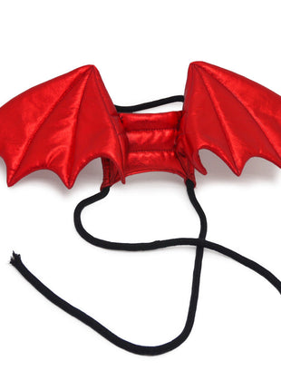 Dragon Wing