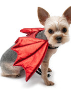 Dragon Wing