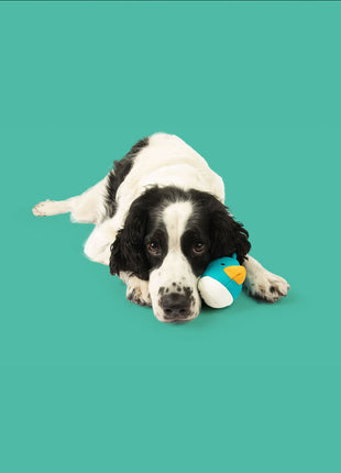 Quackers Plush Set