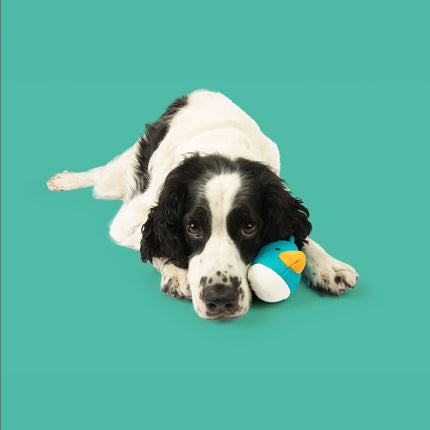 Quackers Plush Set
