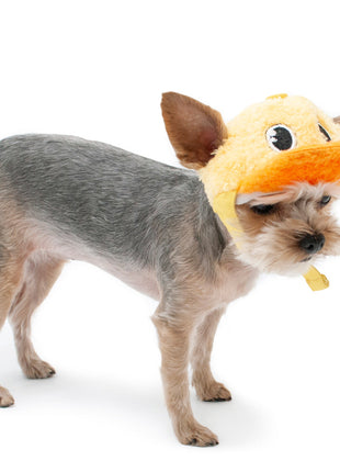 Duck Baseball Hat