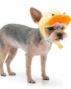 Duck Baseball Hat