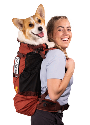 Knavigate | Advanced Dog Carrier with Internal Frame & Hip Belt